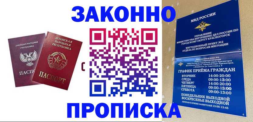 прописка в Электростали
